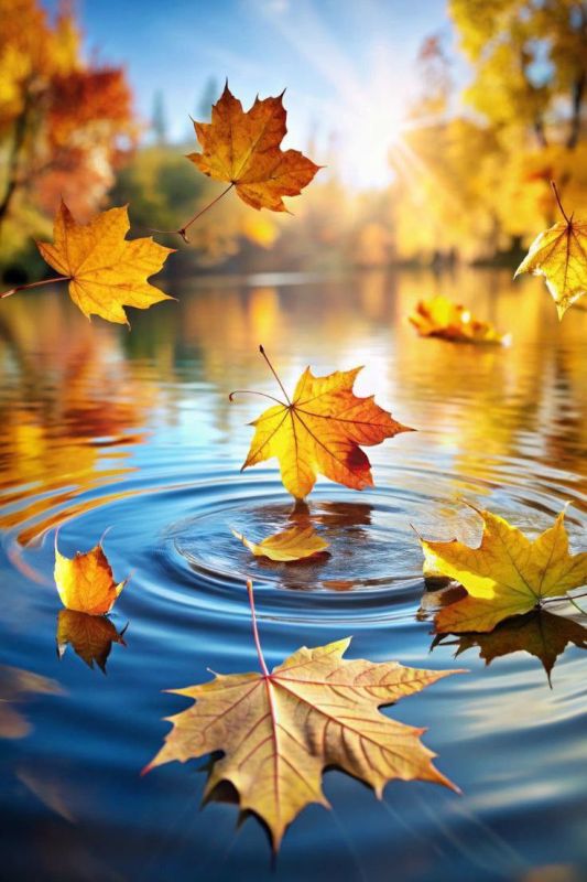 Доброе утро. А вы знали, что сегодня