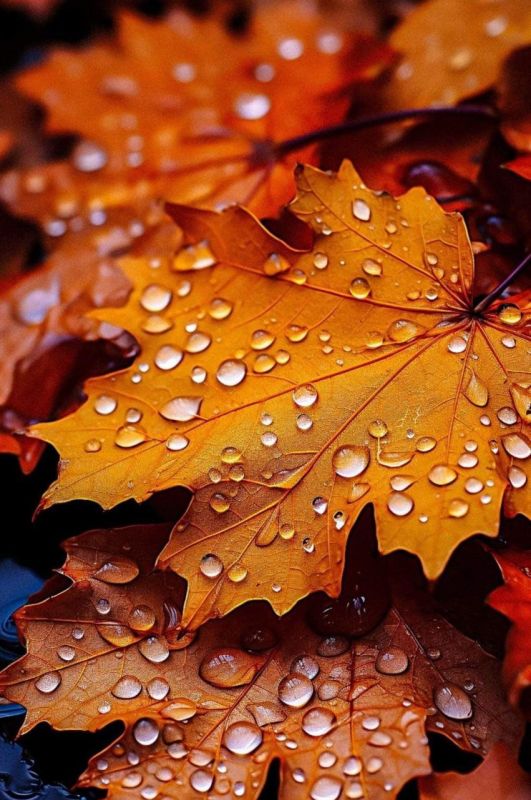 Доброе утро. А вы знали, что сегодня