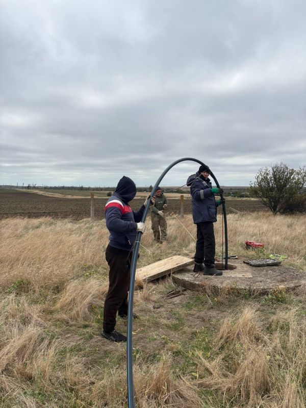 � ���� ���� ������������� �������������