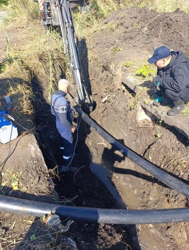 � ���� ���� ������������� �������������