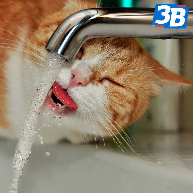 � ��������� �������� �������� �������� ���� � ���������� �� 1 ������