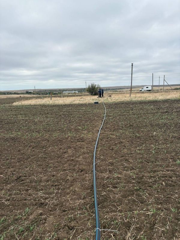 � ���� ���� ������������� �������������