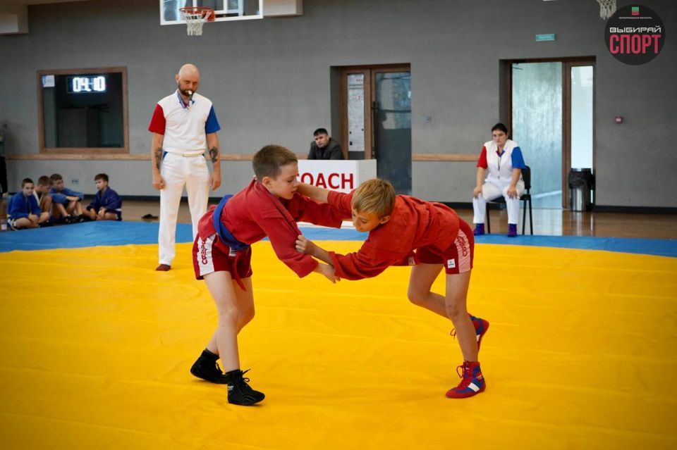 � ���������� ������ ������ �� �����, ����������� ��� �������������!