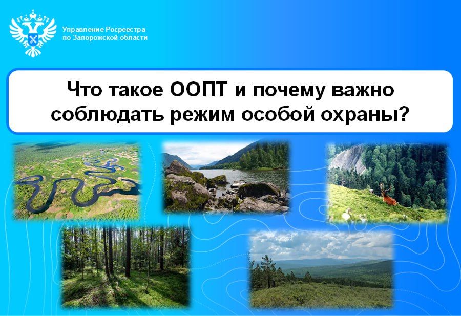 Что такое особо охраняемые природные территории (ООПТ)