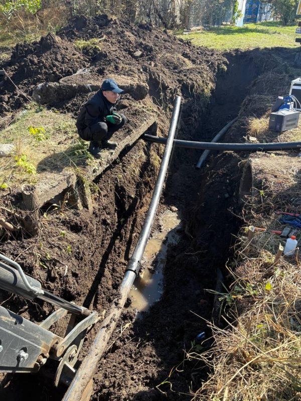 � ���� ���� ������������� �������������