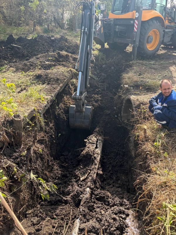 � ���� ���� ������������� �������������