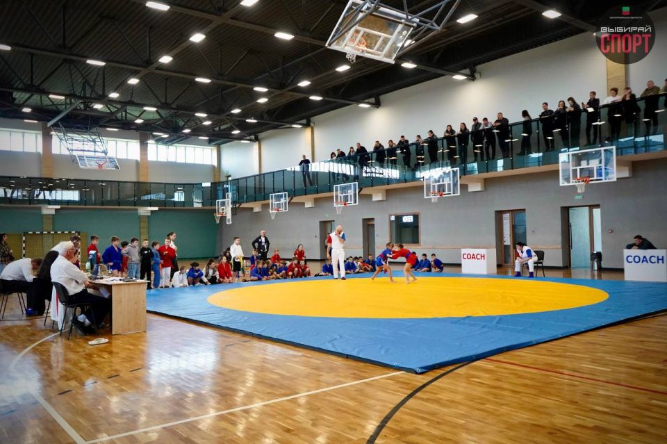 � ���������� ������ ������ �� �����, ����������� ��� �������������!