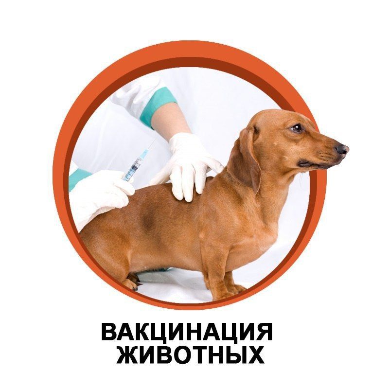 ���������� ���������� ����� � ����� �� ��������� ���������� � ���������