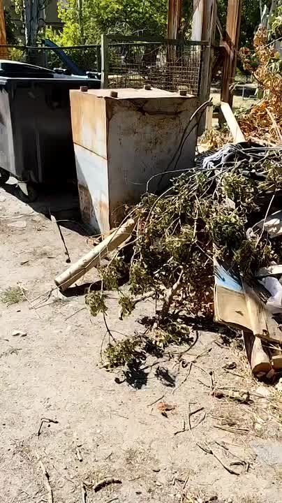 ����������� ���������������� ���������� ��������� �� ���� ��� �λ ������� ������ �� ���������� ��������� ������