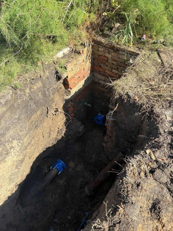 �������� ��������� ������ �������� � ���� ����������