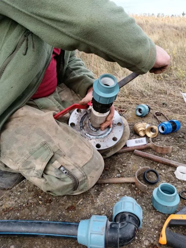 �������� ��������� ������ �������� � ���� ����������