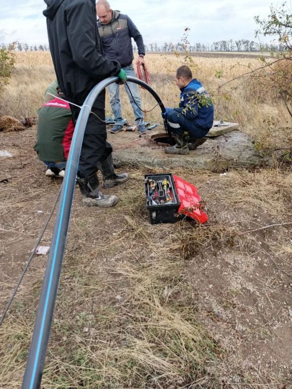 �������� ��������� ������ �������� � ���� ����������