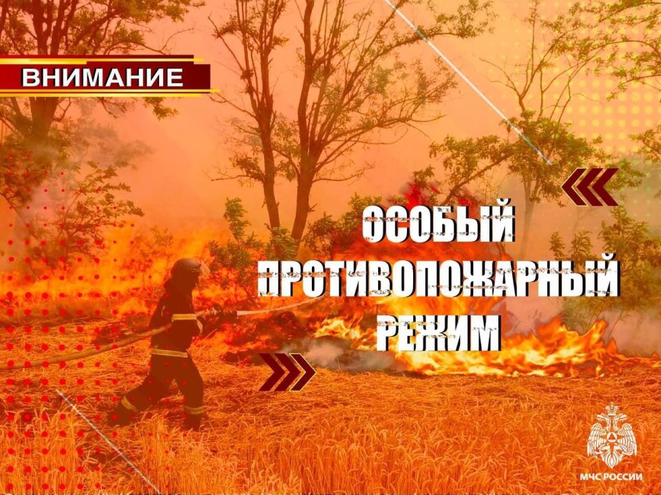 �� 15 ������� 2025 ���� �� ���������� ����������� ������� ��������� ������ ��������������� �����