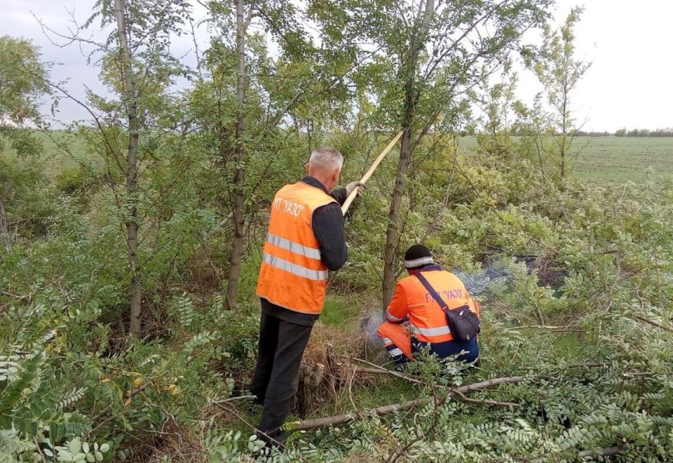 ��� "����" ������� ������ �� ��������� � ��������������� ����� ����� �������