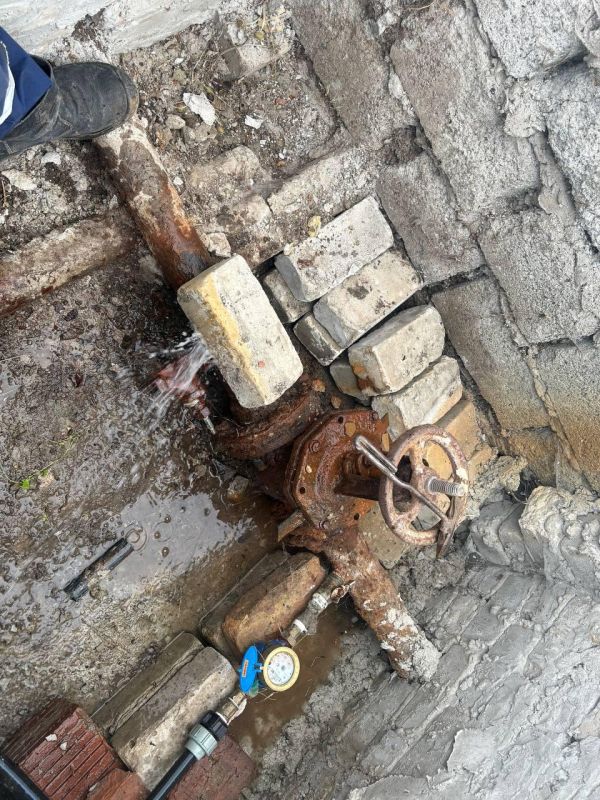 � ���� �������������� ����������� ������ ������������� �������������