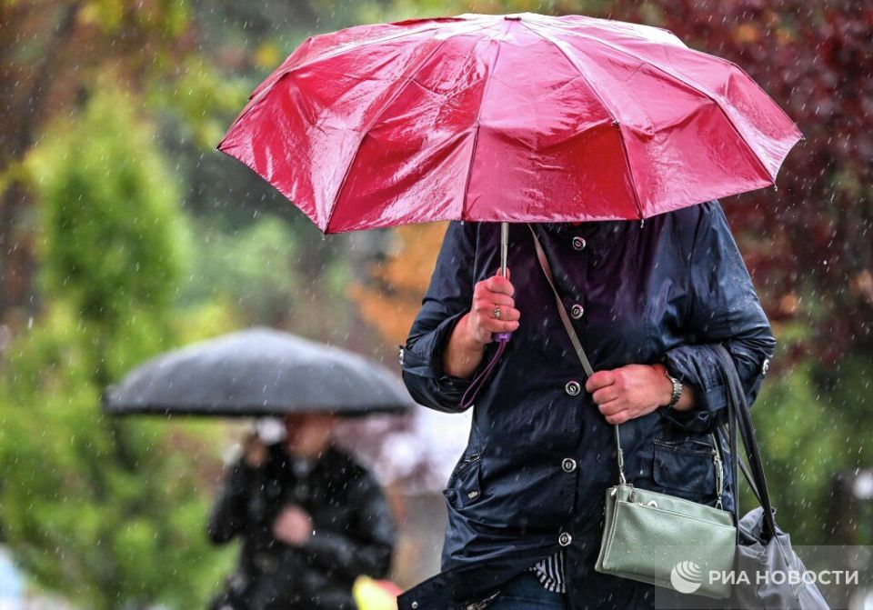 ������ �� ����� ����������� ������