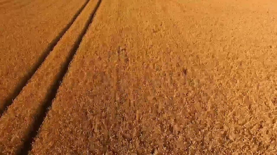 ������� ��������� ��������� ��������� � ���������������� ��������������!