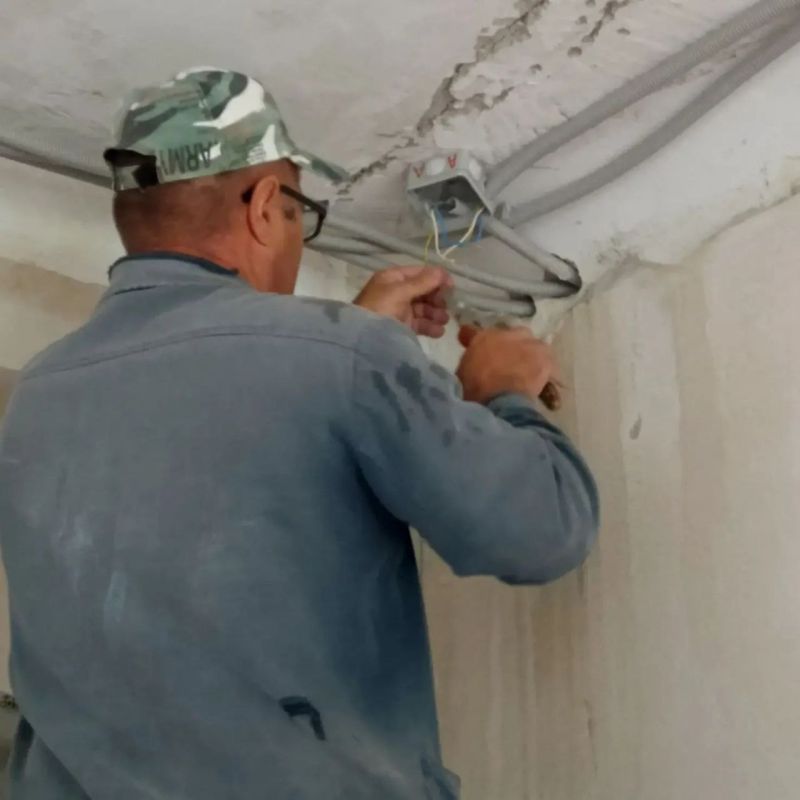 ������������ ������ ������������ ���� ��������