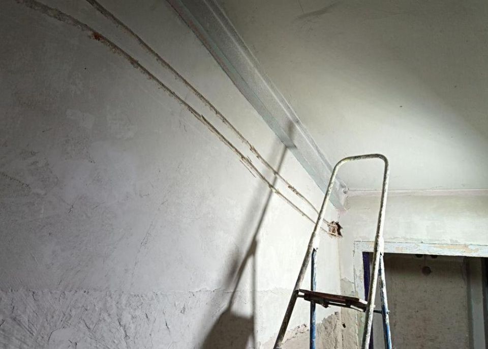 ������������ ������ ������������ ���� ��������