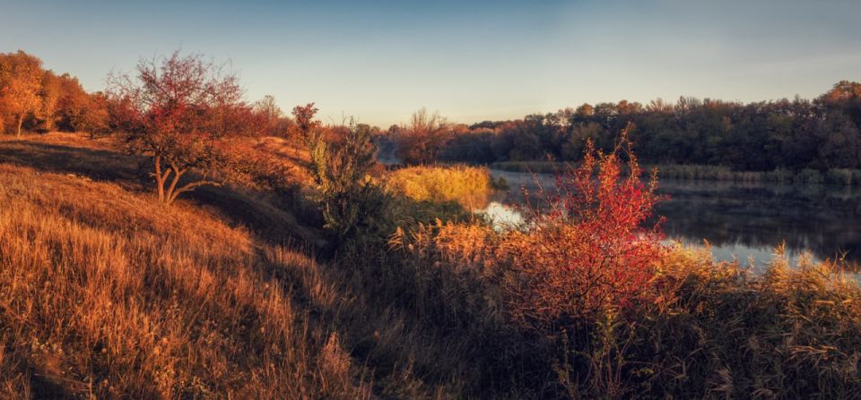 Доброе утро. А вы знали, что сегодня