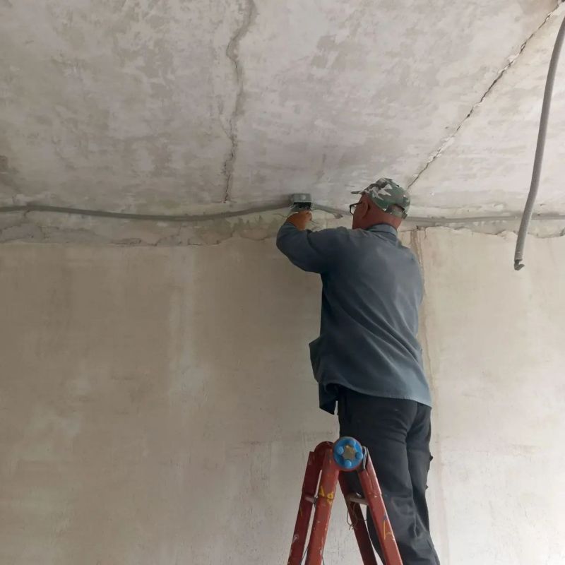 ������������ ������ ������������ ���� ��������