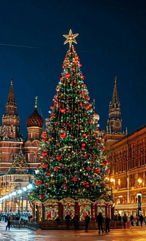 Анна Хорошун: Детей участников СВО из Запорожской области приглашают на Кремлевскую елку