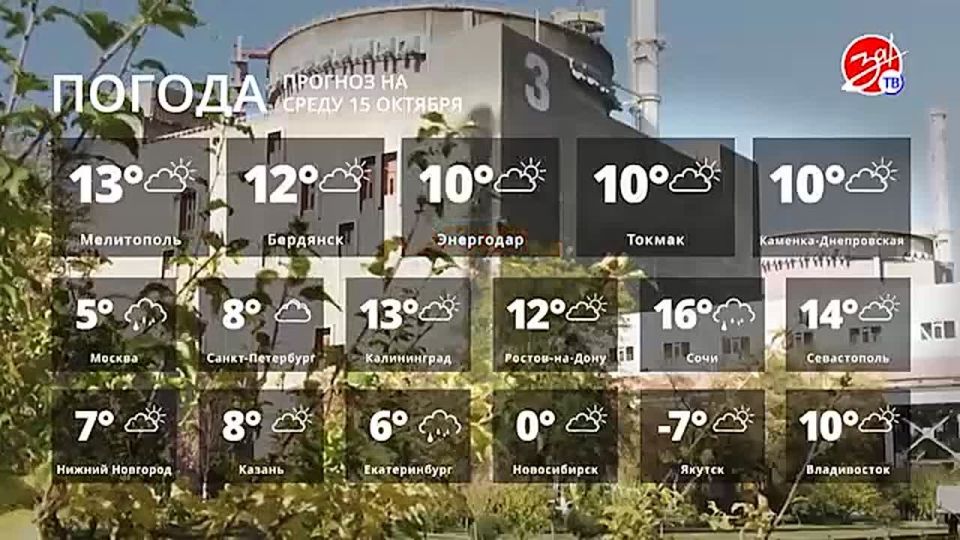 ������� ������ �� ����� 15 �������