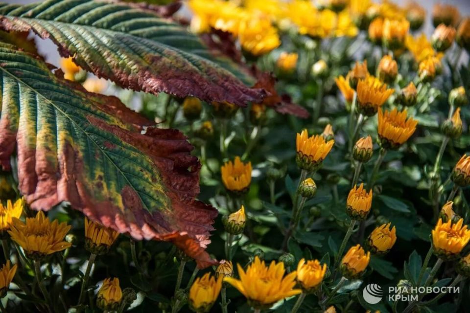 ������ �� ����� ����������� ������