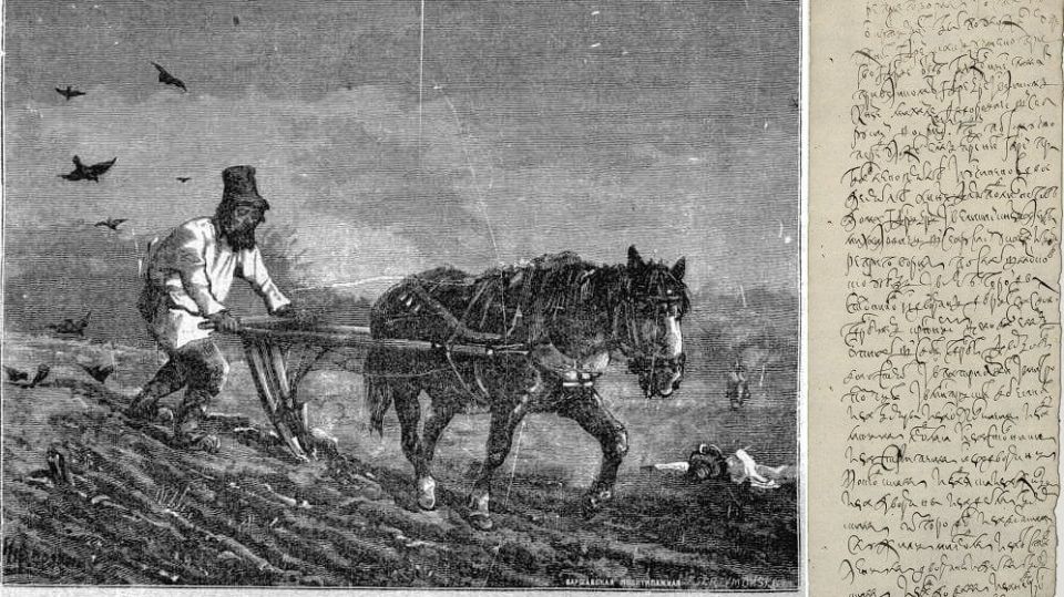 ���� �������: 19 ������� � ������� ������