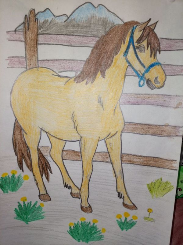 ������� �������� ��� ������ ����������