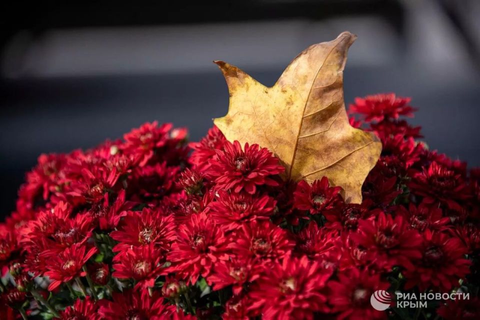 ������ �� ����� ����������� ������