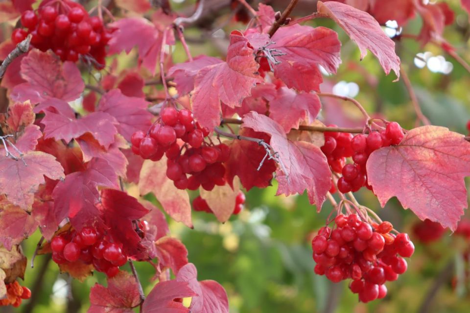 ������ ����. � �� �����, ��� �������