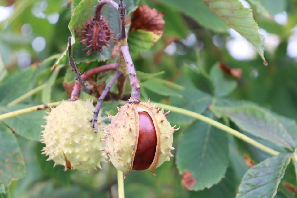 Доброе утро. А вы знали, что сегодня