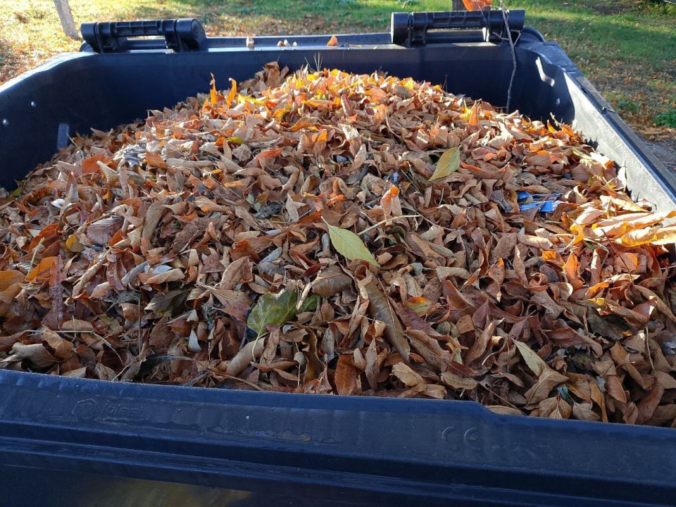 ��������� ������!. � ������������ ����� �� ��������� ������������ ���������� ������� ������������ ������� (�����, �����, �����, ��������� ��������) �� ������������ ��������� � ������� �������������� ����� ���������