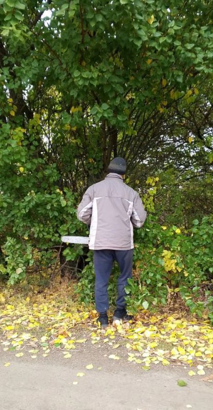 ����������� ������������ ��������� �������� � ���� ���������