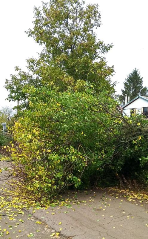 ����������� ������������ ��������� �������� � ���� ���������