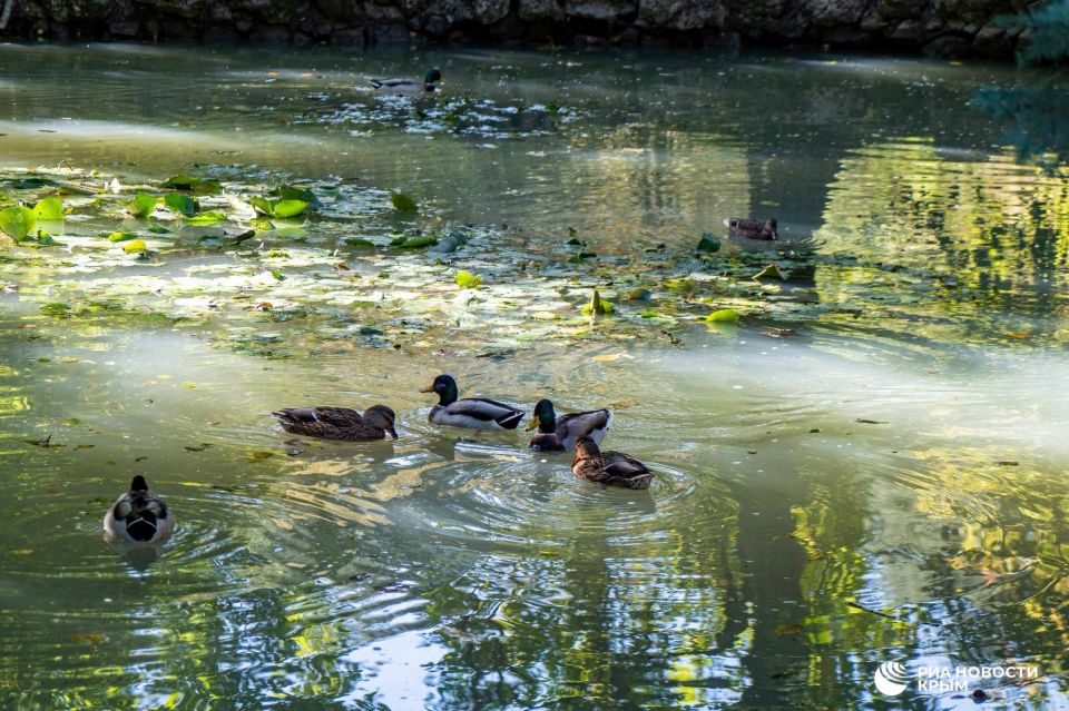 ������ �� ����� ����������� ������