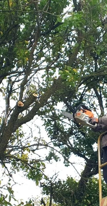 ����������� ������������ ��������� �������� � ���� ���������