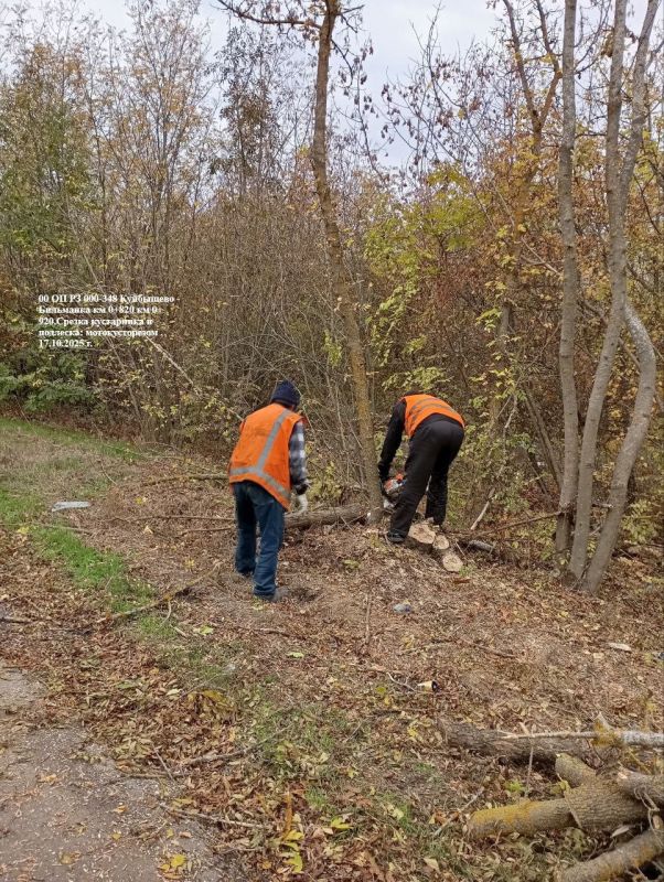 ��� "����" ��������� � ������� � ������������ �����