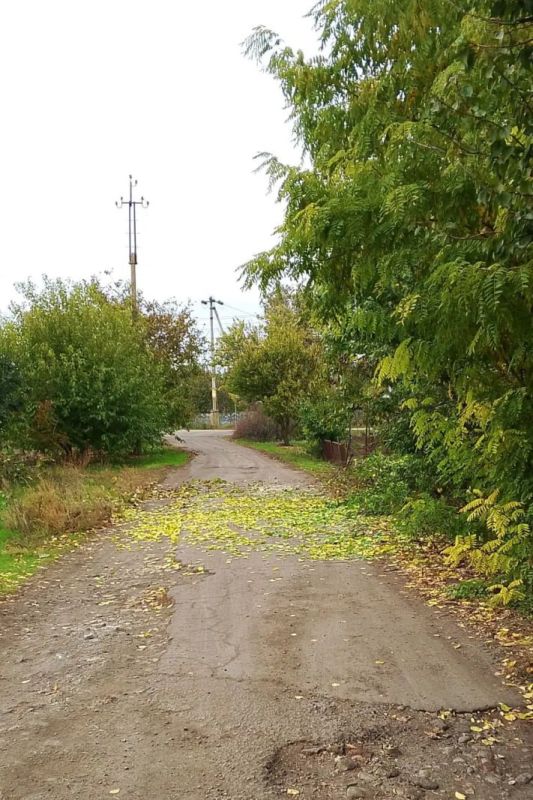 ����������� ������������ ��������� �������� � ���� ���������