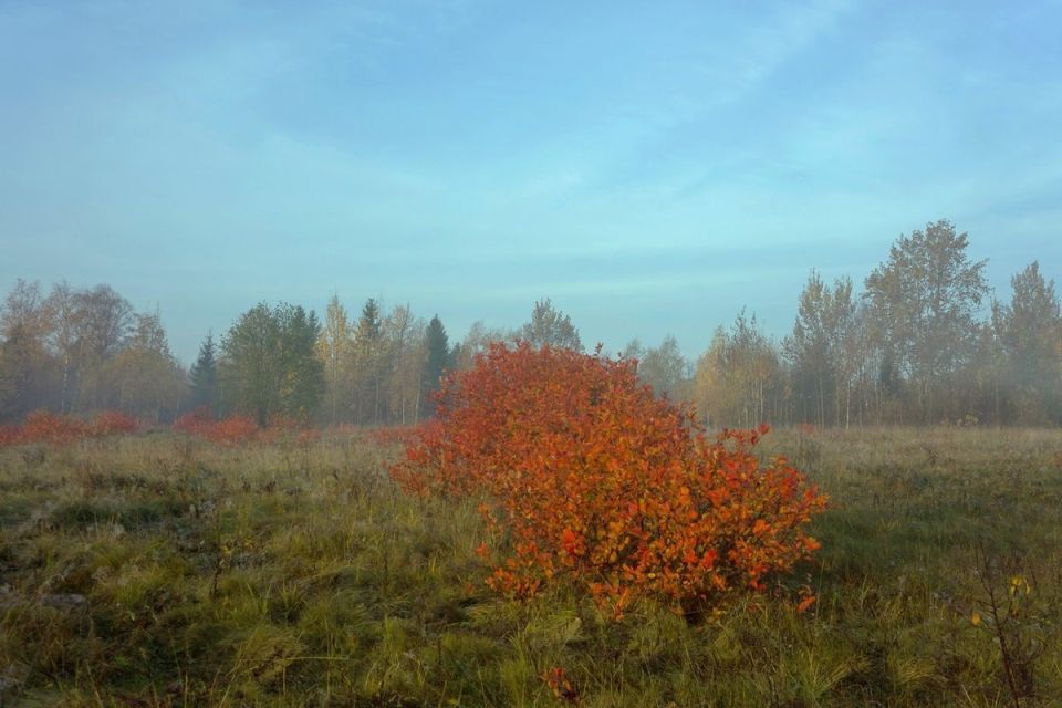 ������ ����. � �� �����, ��� �������