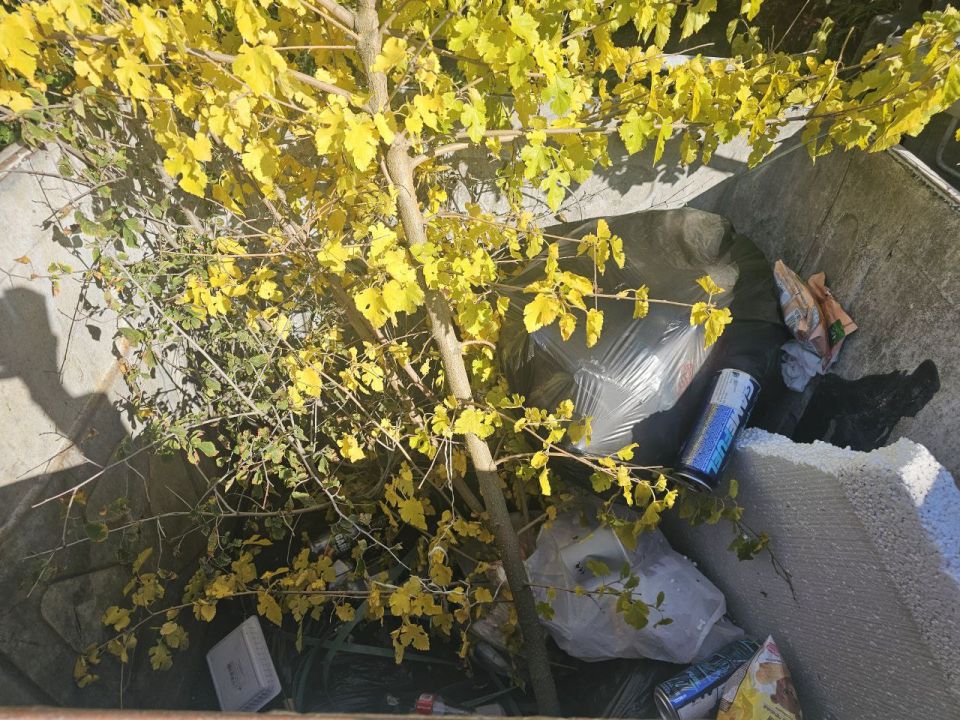 ��������� ������!. � ������������ ����� �� ��������� ������������ ���������� ������� ������������ ������� (�����, �����, �����, ��������� ��������) �� ������������ ��������� � ������� �������������� ����� ���������