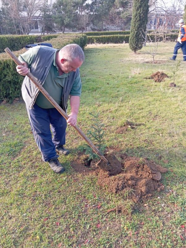 ����������� �������������� ������� ������� � ���������� ������� ������� � ��������� � ���������