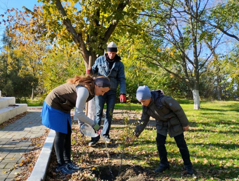 �������� �������� ��������: � ���������� ������ �������� ���������� ������� ��������