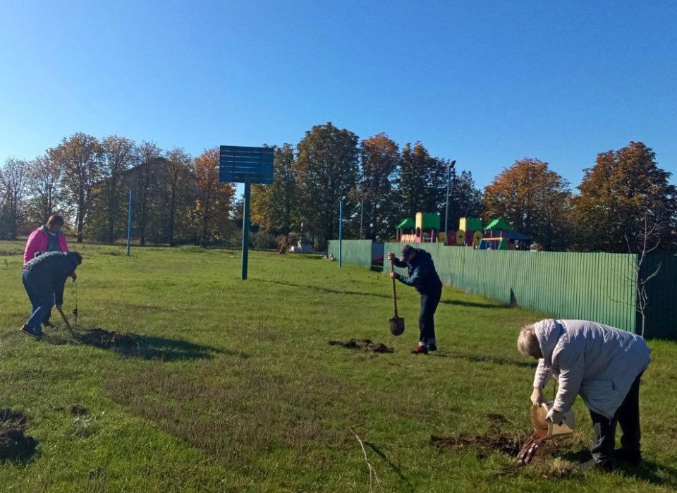 �������� �������� ��������: � ���������� ������ �������� ���������� ������� ��������