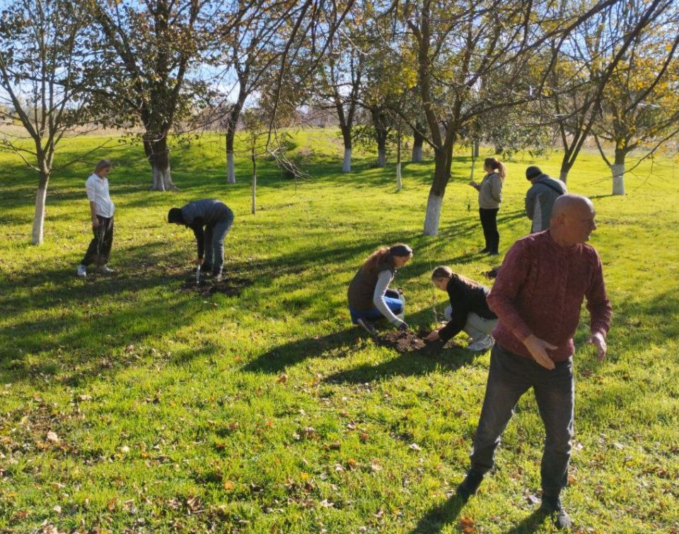 �������� �������� ��������: � ���������� ������ �������� ���������� ������� ��������