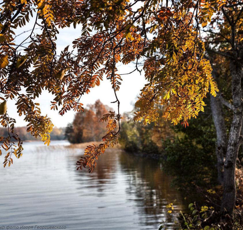 ������ ����. � �� �����, ��� �������