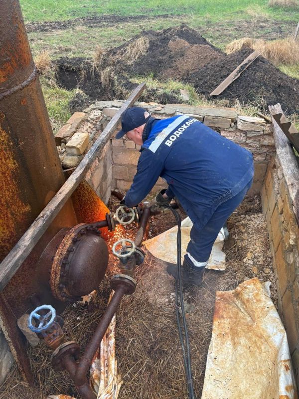 � ���������� ������ ������������ ������ �� ������������ ������� �������������