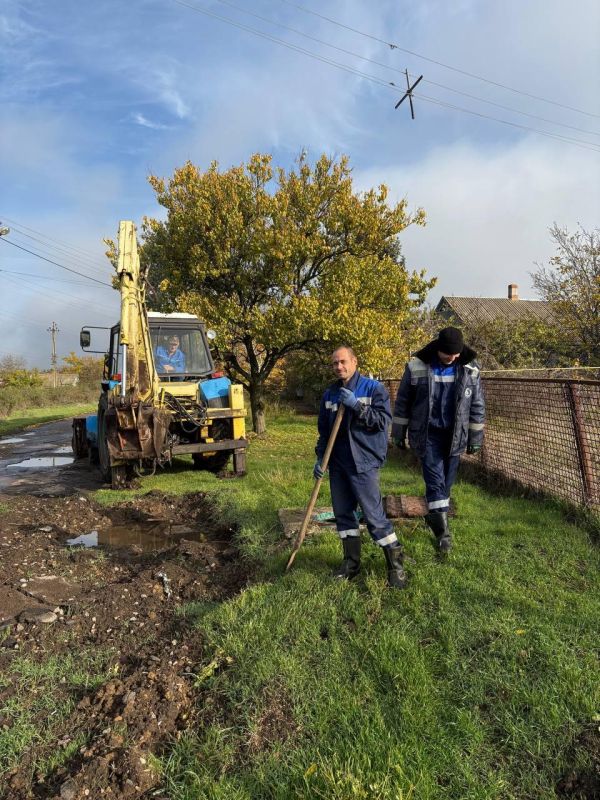 � ���������� ������ ������������ ������ �� ������������ ������� �������������