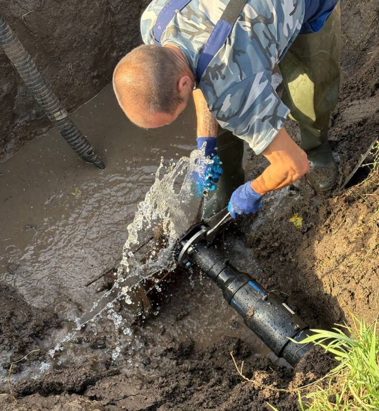 � ���������� ������ ������������ ������ �� ������������ ������� �������������